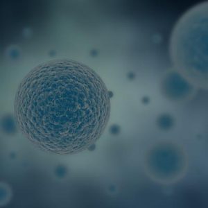 Life Sciences